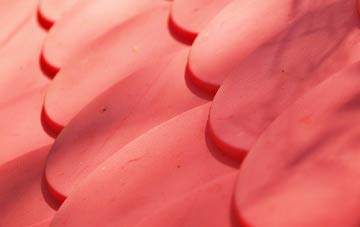 Burniston plastic roof costs