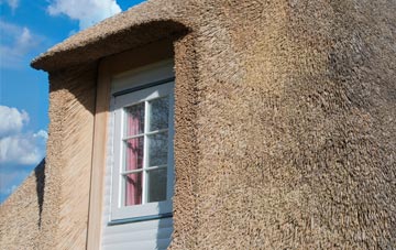 Burniston thatch roof disadvantages